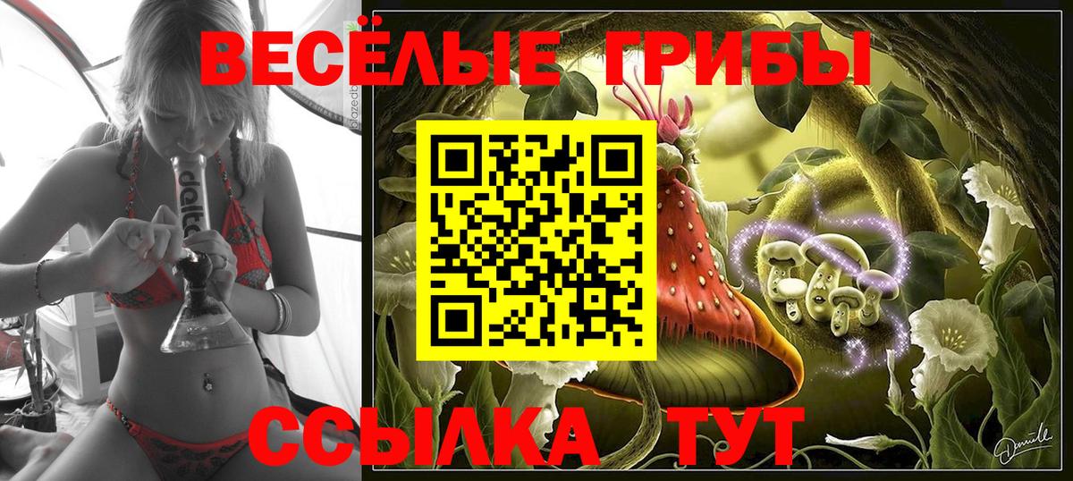 Галлюциногенные грибы ЛСД  Псилоцибиновые грибы мухоморы  Сорочинск  Вход с VPN 
